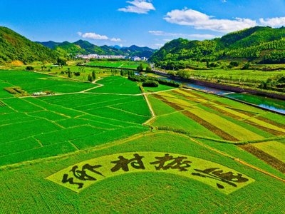 村落振兴工作动态 （第144期）