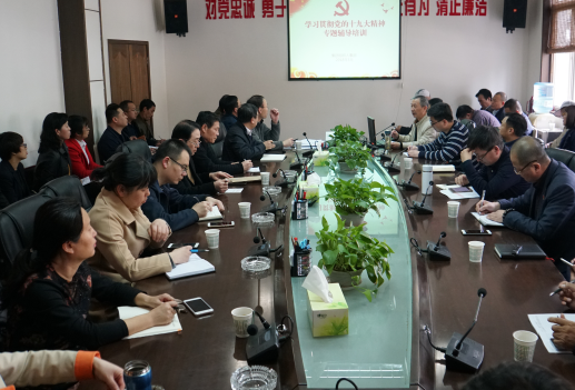 集团召开系统党组织书记学习十九大心灵专题培训会